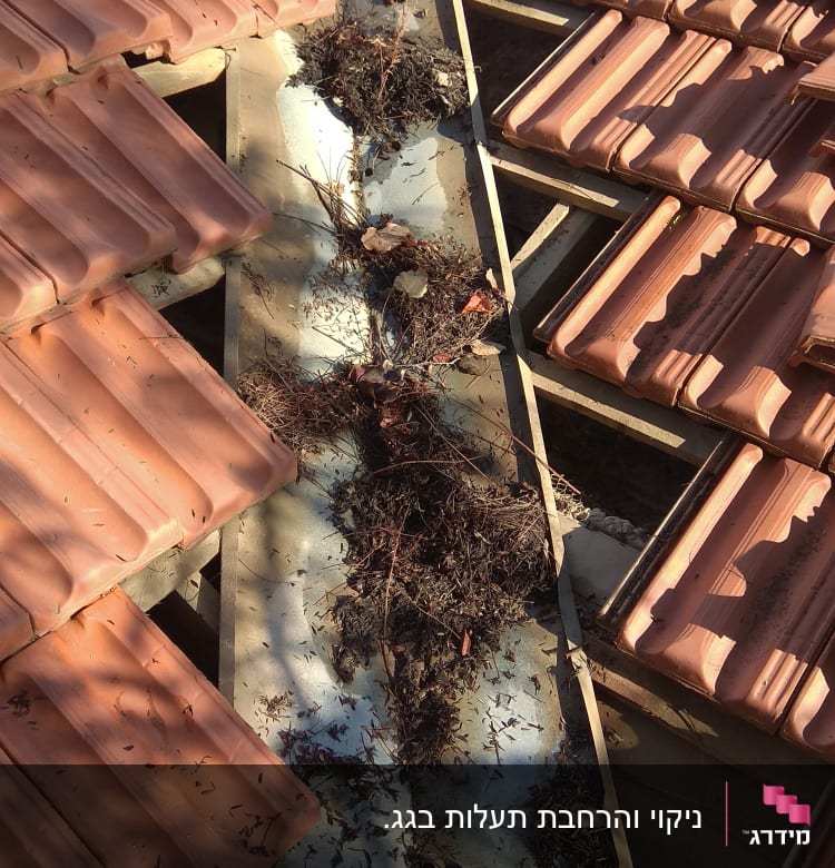 רעפים על גג עם עלים וענפים יבשים